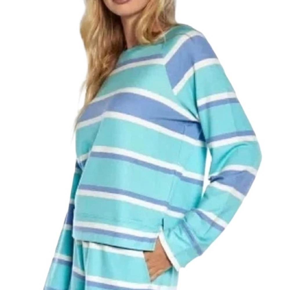 Wildfox blue stripe top